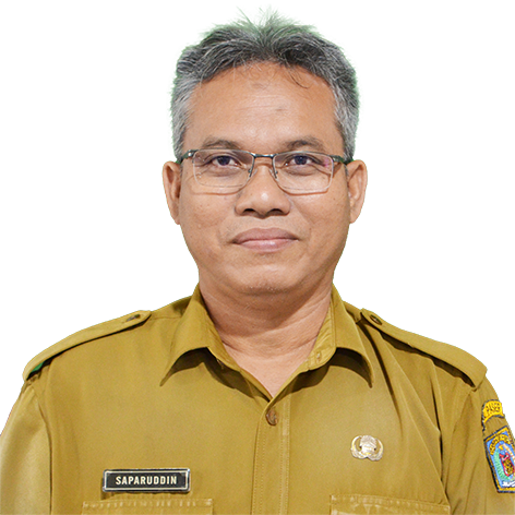 SAPARUDDIN